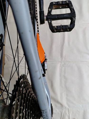 Orbea Wild-2